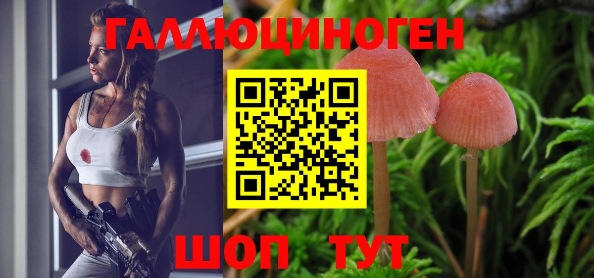 Псилоцибиновые грибы Psilocybine cubensis Азнакаево